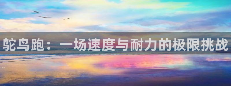 球友体育官网下载：鸵鸟跑：一场速度与耐力的极限挑战