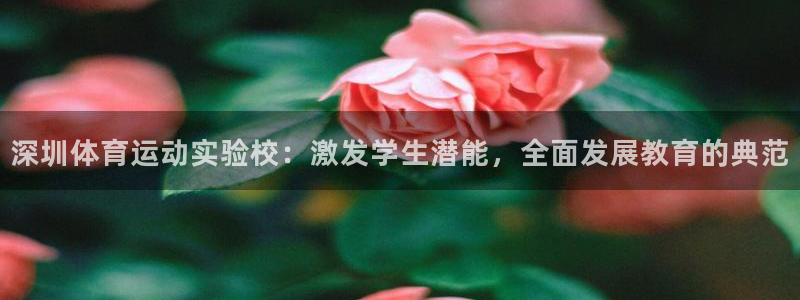 球友体育官方网站：深圳体育运动实验校：激发学生潜能，全面发展教育的典范