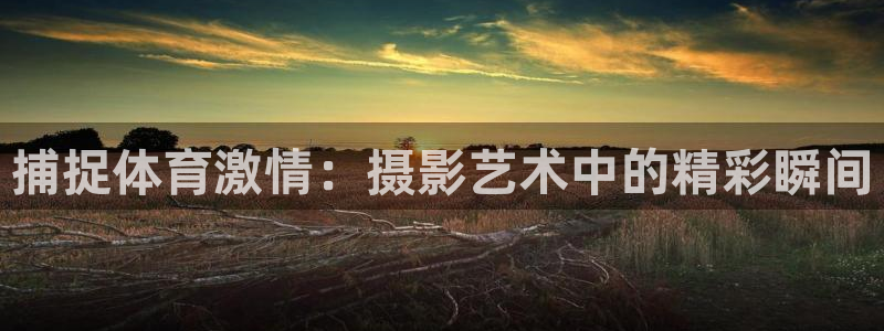 球友体育下载入口官方网站：捕捉体育激情：摄影艺术中的精彩瞬间