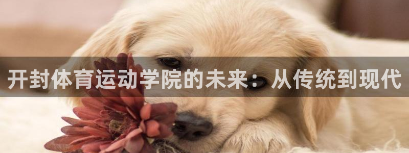 球友体育在线观看：开封体育运动学院的未来：从传统到现代