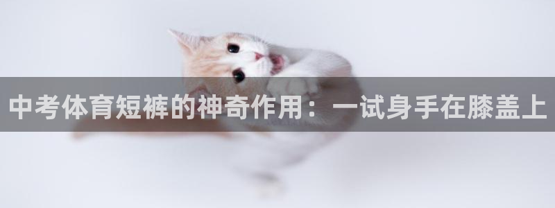 球友体育nba：中考体育短裤的神奇作用：一试身手在膝盖上