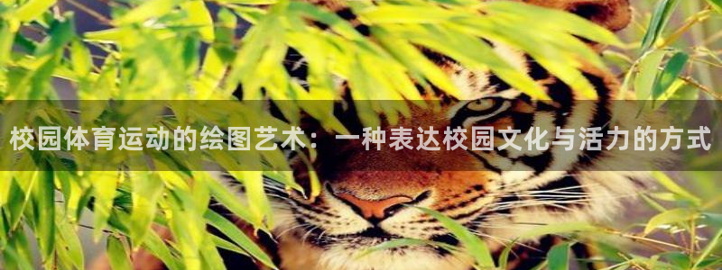 球友体育app官方下载：校园体育运动的绘图艺术：一种表达校园文化与活力的方式